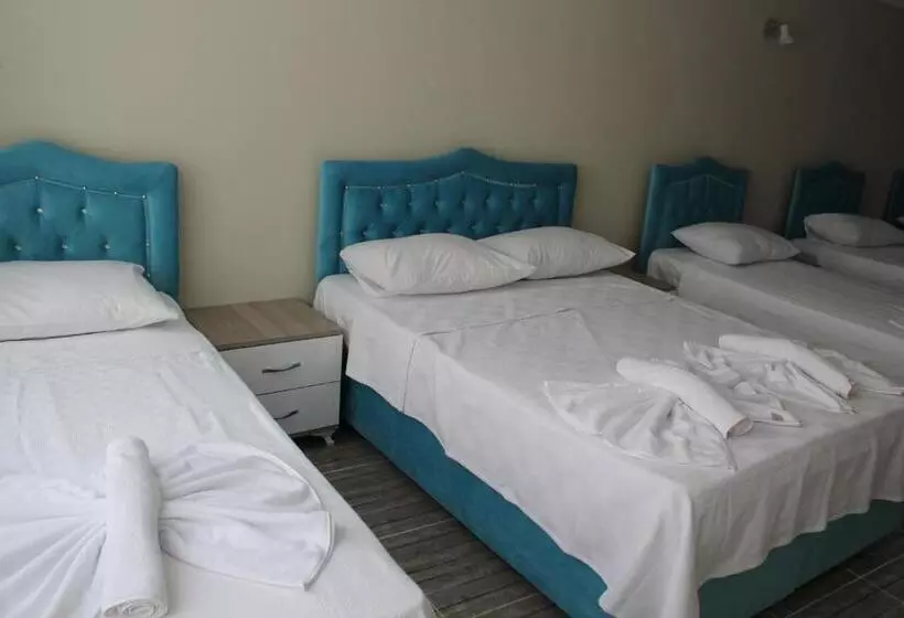 اتاق استاندارد چهار تخته, Gorur Suite
