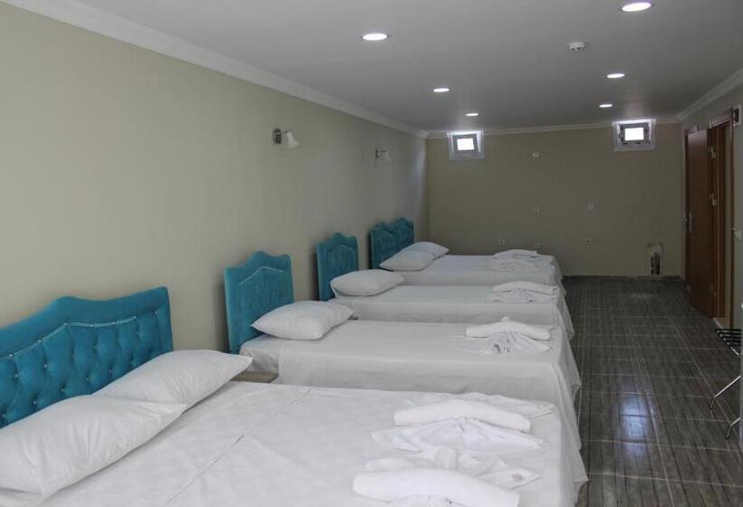 اتاق استاندارد چهار تخته, Gorur Suite