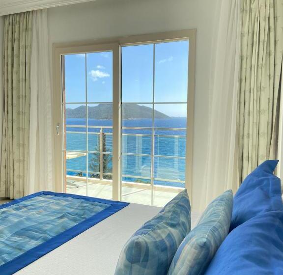 غرفة قياسية مطلّة علي البحر, Narr