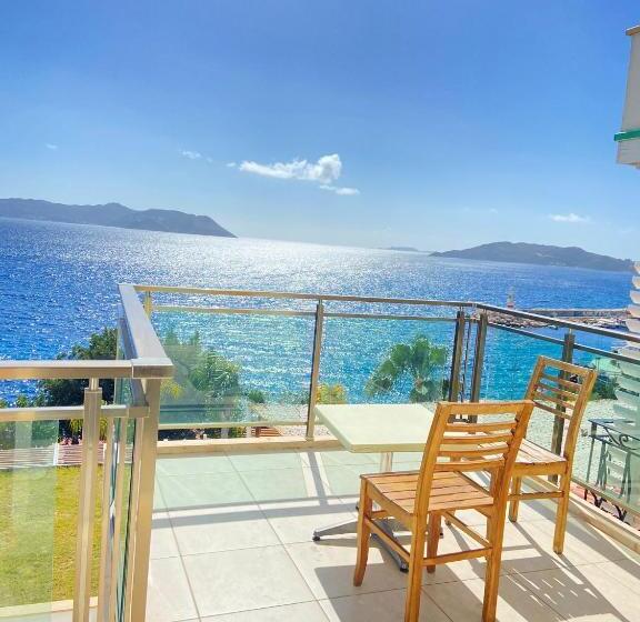 غرفة قياسية مطلّة علي البحر, Narr