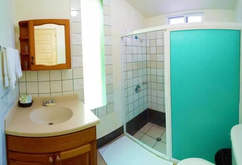 اتاق استاندارد یک نفره, Rumors Resort