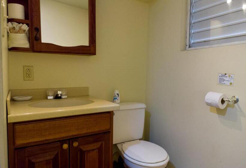 חדר סטנדרט יחיד עם מרפסת, Rumors Resort