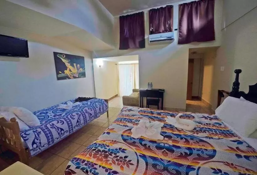 اتاق اکونومی, Rumors Resort