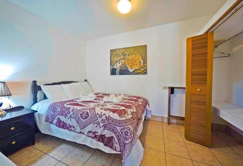 חדר אקונומי, Rumors Resort