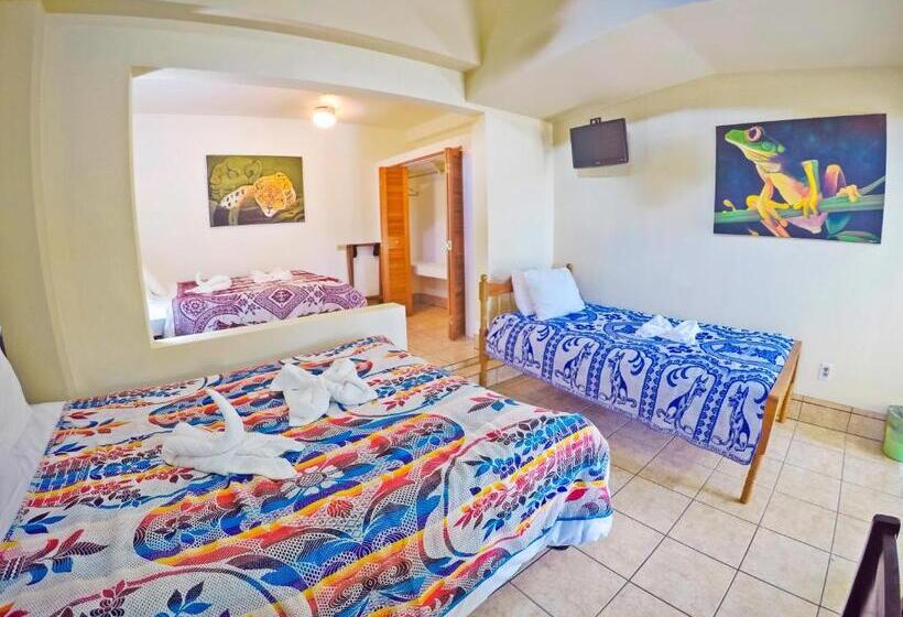 חדר אקונומי, Rumors Resort