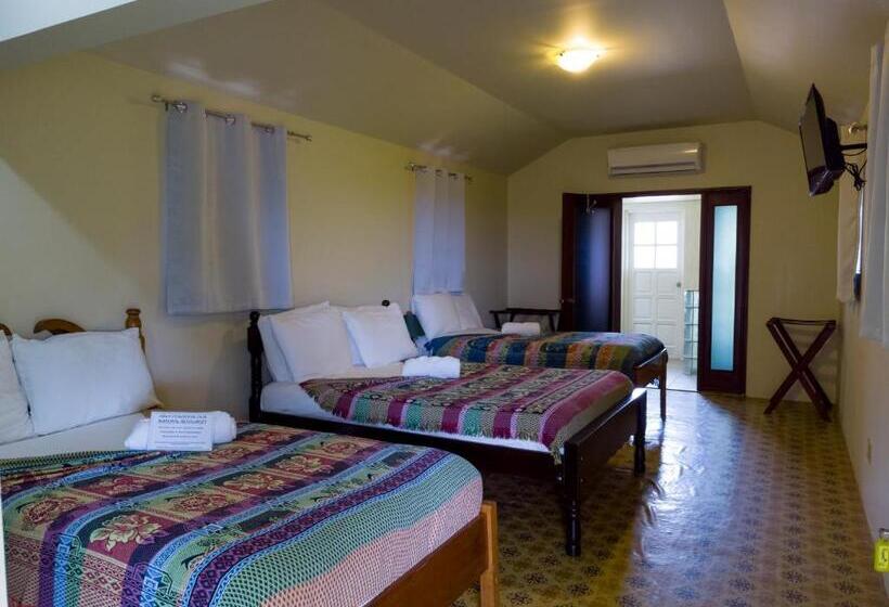 חדר אקונומי לשלושה, Rumors Resort