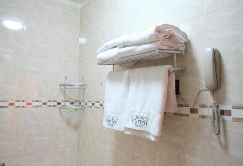 اتاق استاندارد با تراس, Trinity