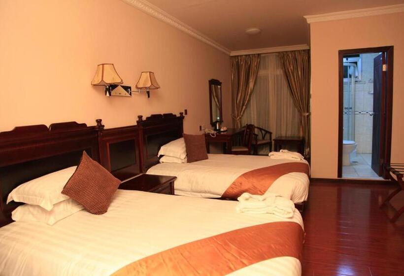 اتاق استاندارد با تراس, Trinity