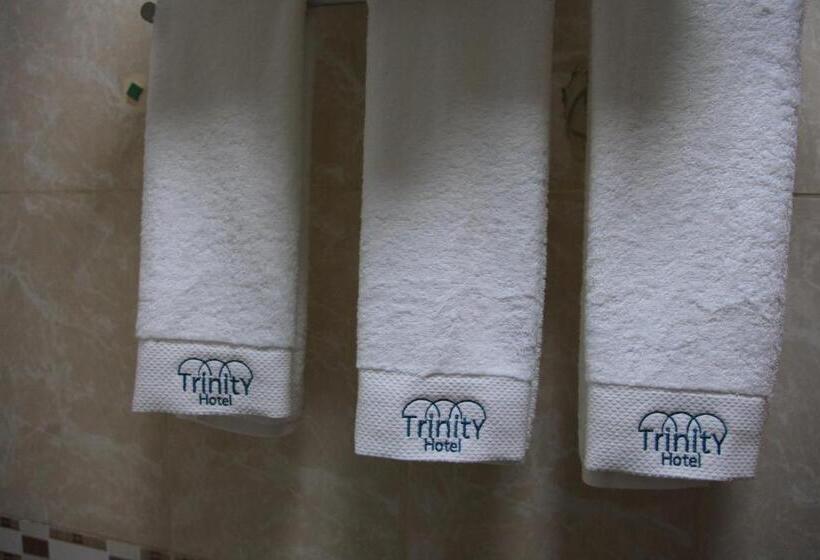 اتاق لوکس با بالکن, Trinity