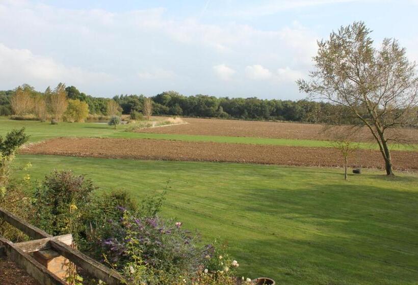 シングルデラックスルーム, Laundimer House