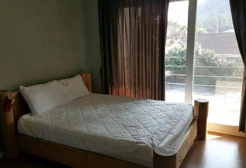 スタンダードスタジオ, Mirvill Pension