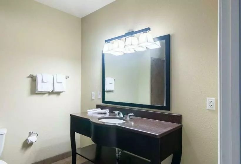 スタンダードルーム, Motel 6colorado City, Tx