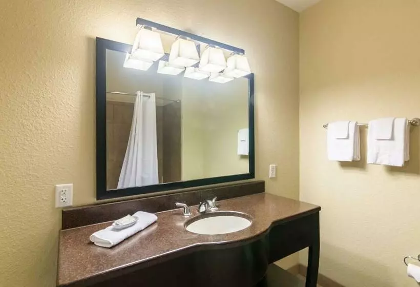 スタンダードルーム, Motel 6colorado City, Tx