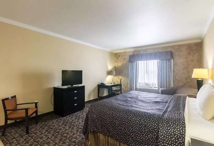 スイート, Motel 6colorado City, Tx