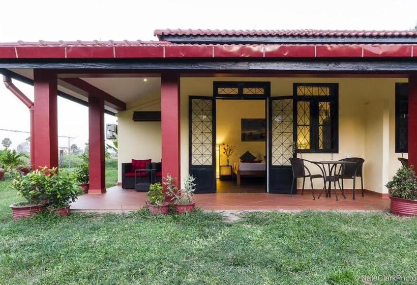 غرفة سوبيريور, Villa Vedici