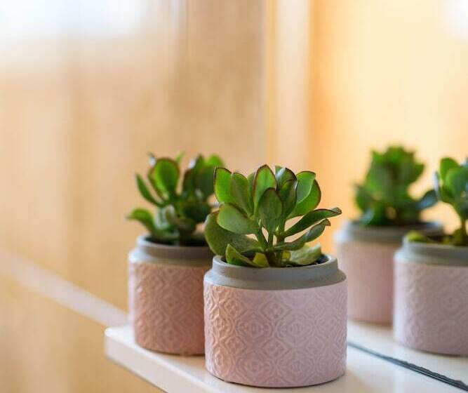 Люкс Комфорт, California Apartments