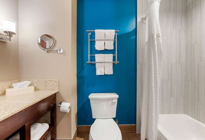 Люкс, Comfort Suites Of Las Cruces I 25 North