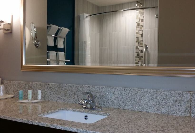 Люкс, Comfort Suites Of Las Cruces I 25 North