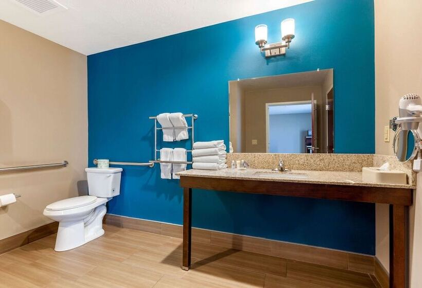 Люкс Адаптированный для Инвалидов, Comfort Suites Of Las Cruces I 25 North