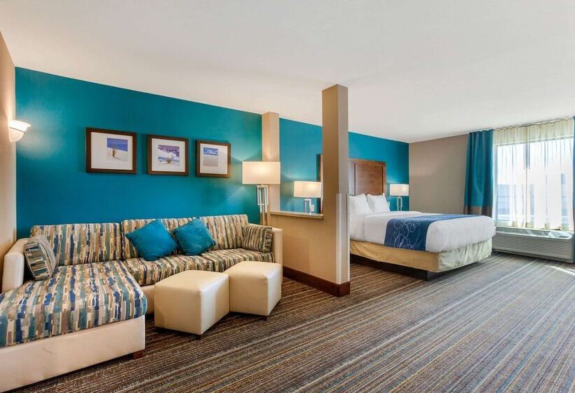 Люкс Адаптированный для Инвалидов, Comfort Suites Of Las Cruces I 25 North