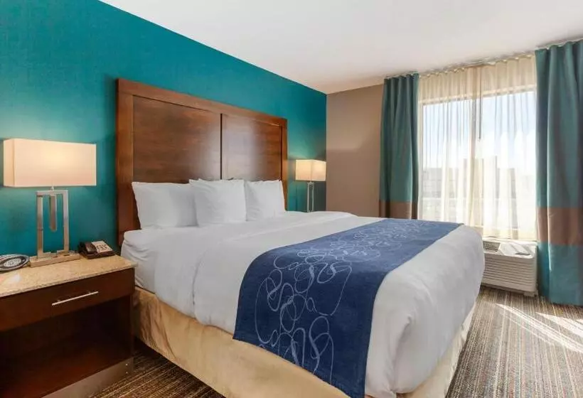 キングサイズベッドのスイートルーム, Comfort Suites Of Las Cruces I 25 North