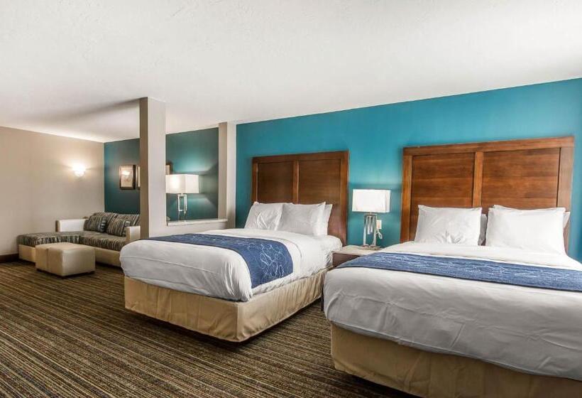 Люкс Адаптированный для Инвалидов, Comfort Suites Of Las Cruces I 25 North