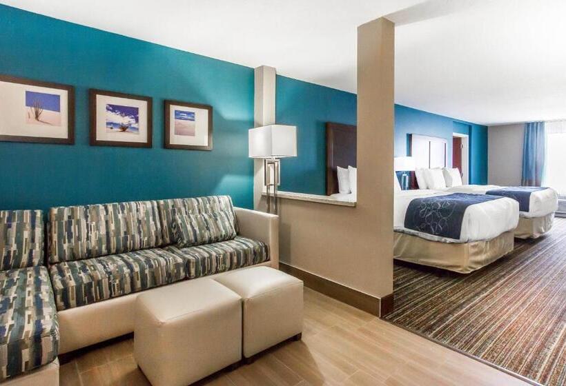 Люкс Адаптированный для Инвалидов, Comfort Suites Of Las Cruces I 25 North