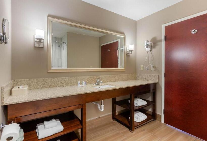 Люкс, Comfort Suites Of Las Cruces I 25 North