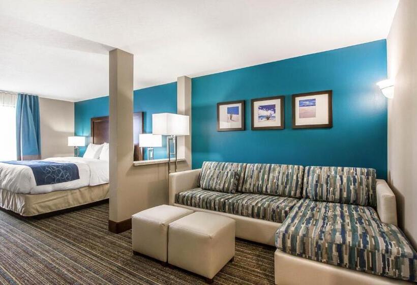 Люкс Адаптированный для Инвалидов, Comfort Suites Of Las Cruces I 25 North