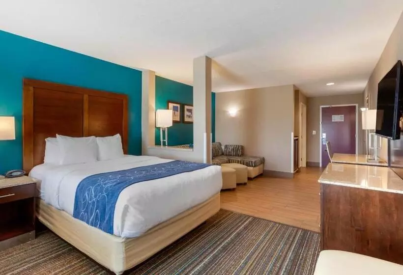 身障者適用スイートルーム, Comfort Suites Of Las Cruces I 25 North
