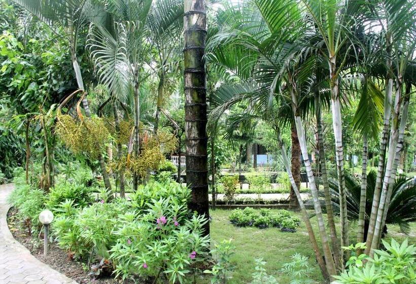 اتاق استاندارد, Jungle Safari Resort