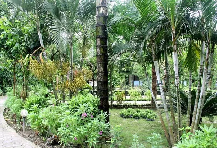 اتاق استاندارد, Jungle Safari Resort