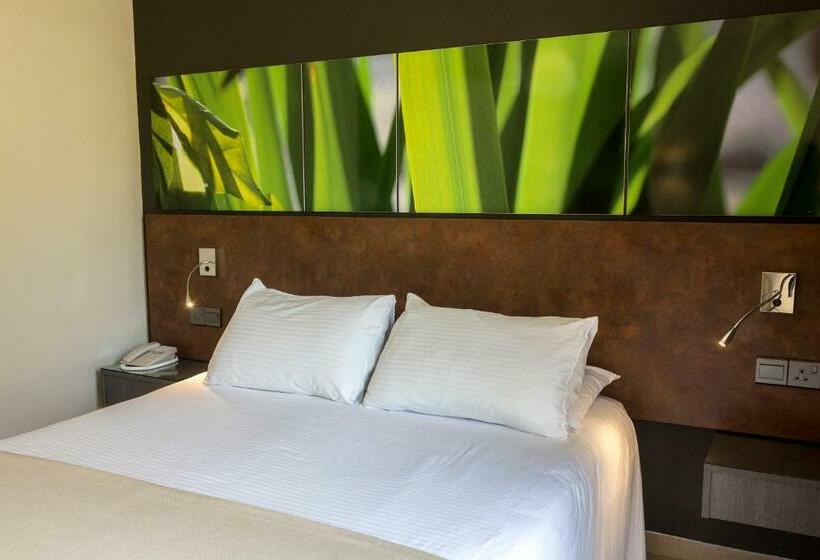 Номер Стандарт, Mayfair Gardens