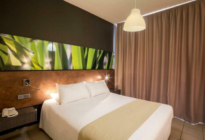 Семейный Номер, Mayfair Gardens