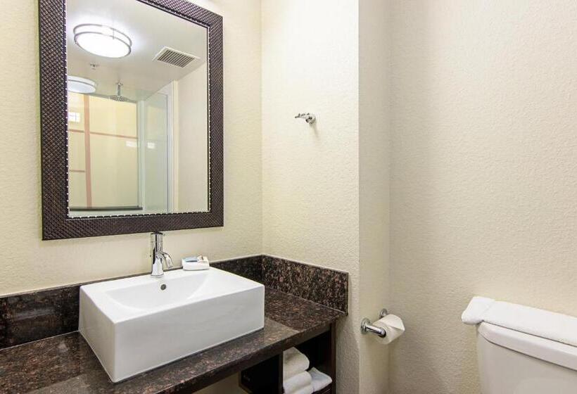 غرفة ديلوكس, Red Roof Inn Locust Grove