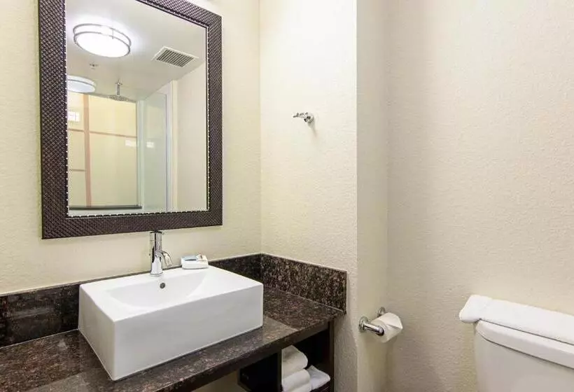 デラックスルーム, Red Roof Inn Locust Grove