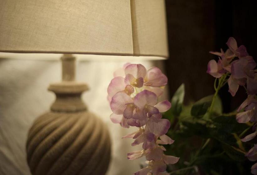 سوییت جونیور, Les Chambres De Amelie B&b