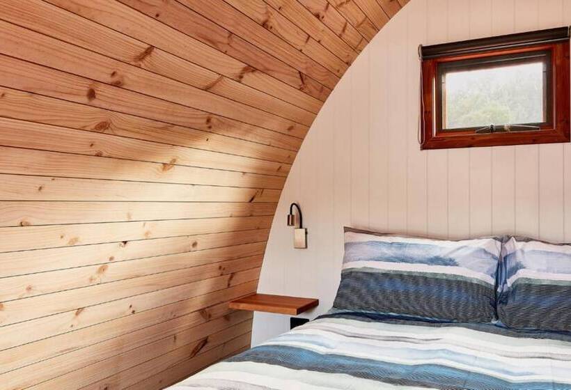 غرفة قياسية, Torquay Foreshore Caravan Park