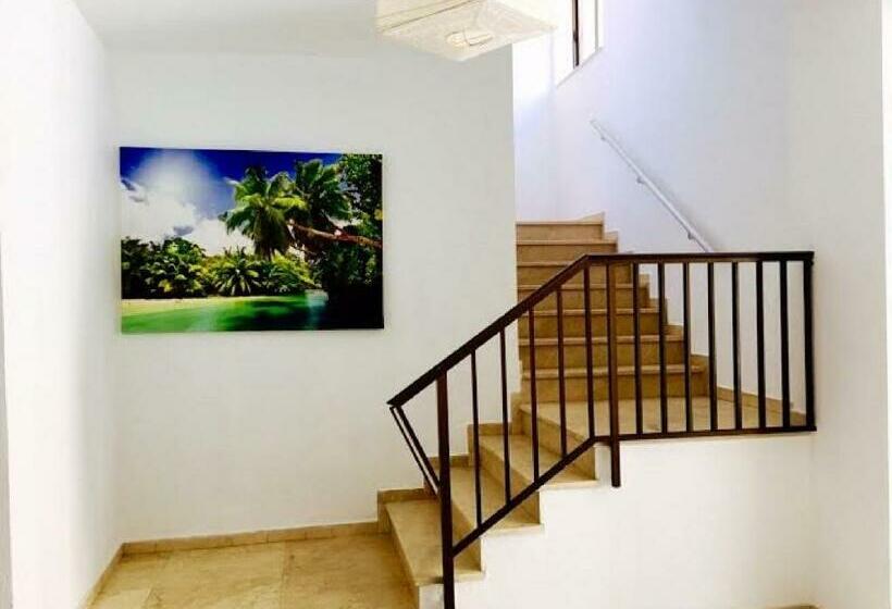 スタンダードスタジオ, Apartamentos Bernat Pie de Playa 3000