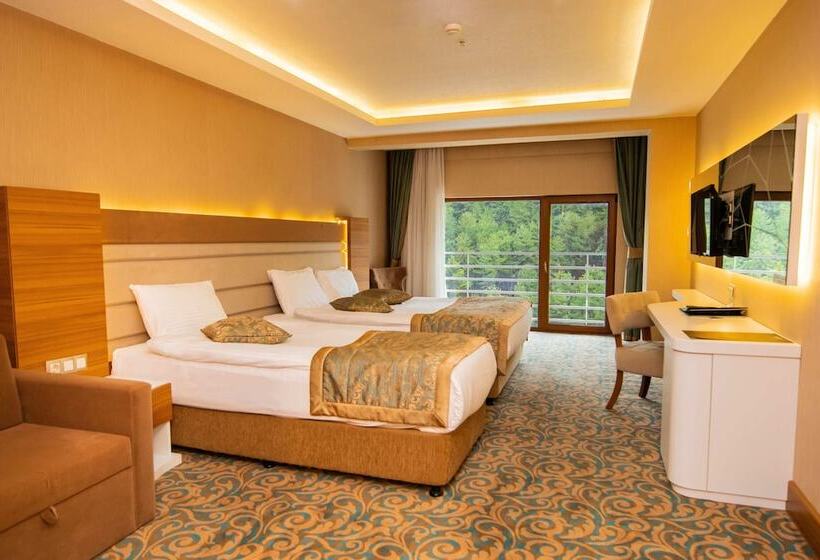 Номер Superior, Cam Thermal Resort Hotel & Spa