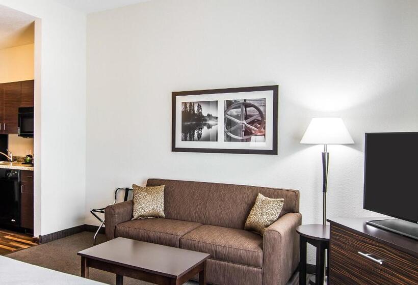 스탠다드 룸 킹사이즈 침대, Mainstay Suites Lufkin