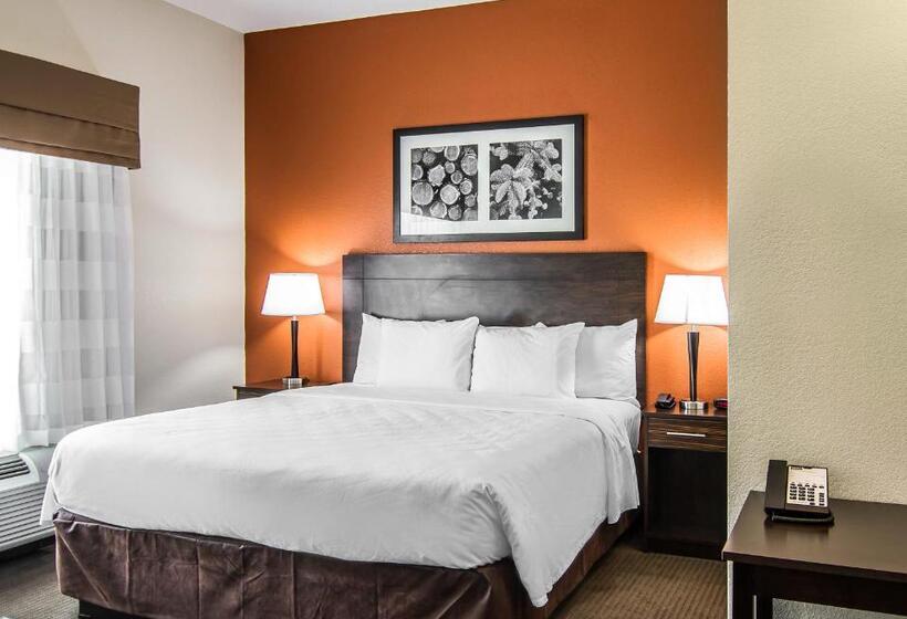 스탠다드 룸 킹사이즈 침대, Mainstay Suites Lufkin