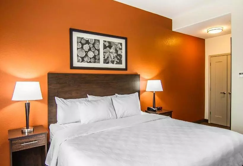 Standard-huone King-vuode, Mainstay Suites Lufkin
