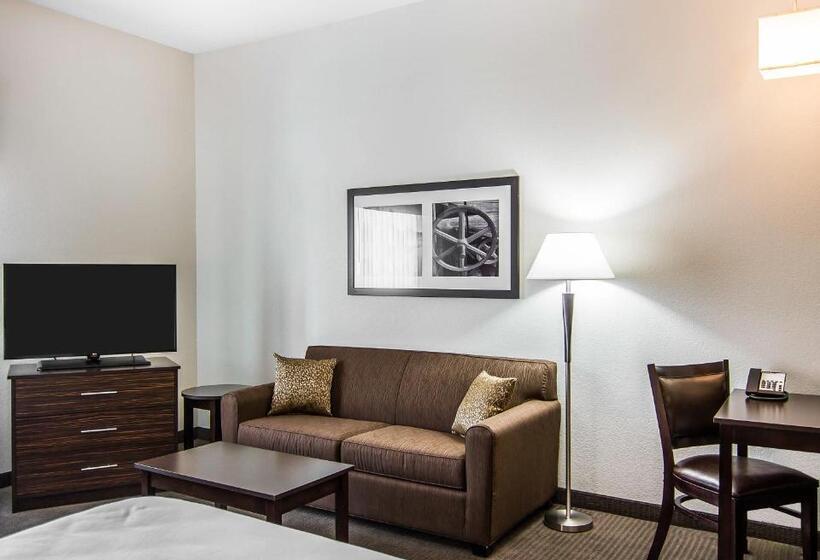 스탠다드 룸 킹사이즈 침대, Mainstay Suites Lufkin