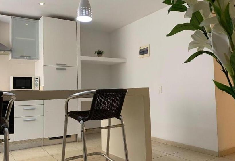 آپارتمان سوپریور 1 خوابه, Vallclaire Suites