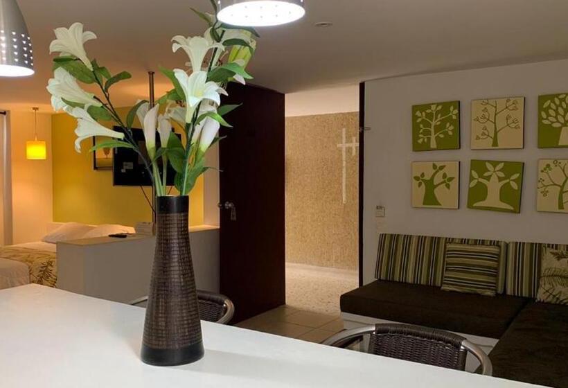 آپارتمان سوپریور 1 خوابه, Vallclaire Suites