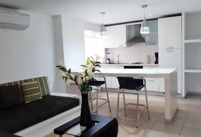 آپارتمان سوپریور 1 خوابه, Vallclaire Suites