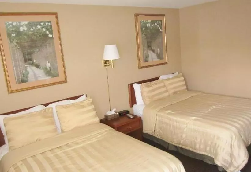 ２ダブルベッドのスタンダードルーム, Village Inn & Suites   Sudbury