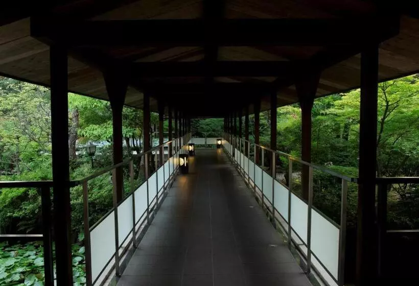 スーペリアファミリールーム, Matsusaki