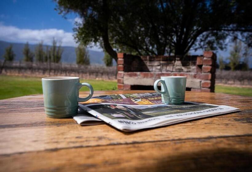 غرفة ديلوكس, Saronsberg Vineyard Cottages